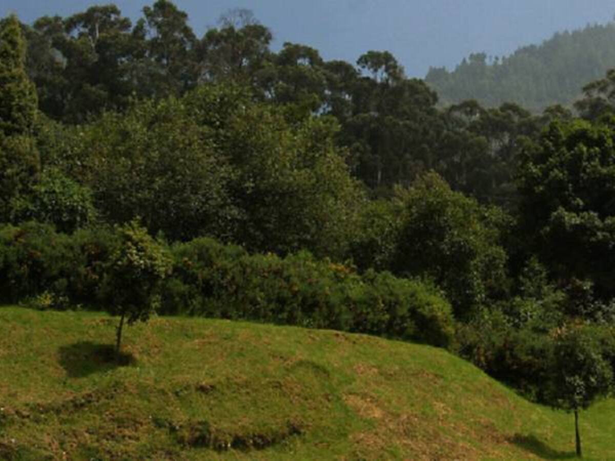 Las 37 rutas clandestinas en la frontera venezolana