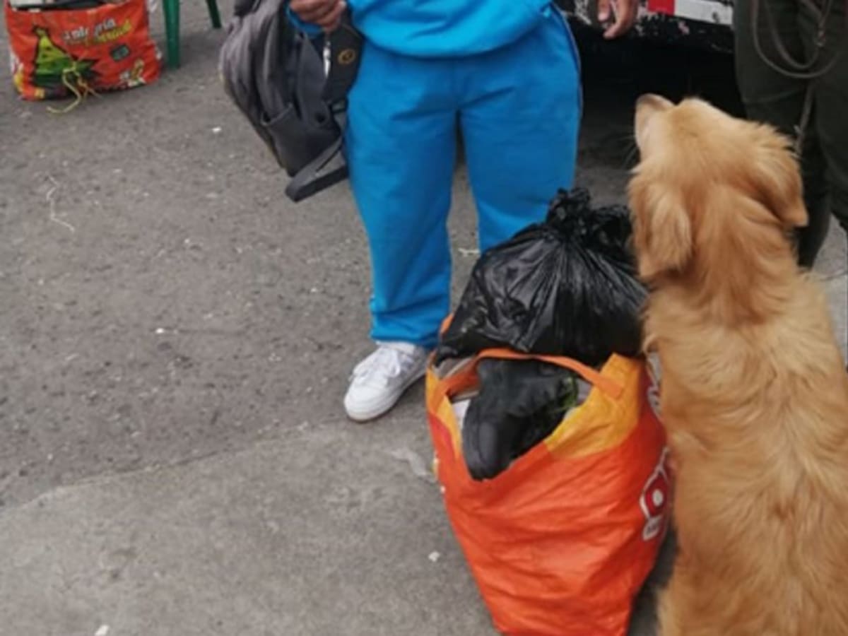 En Manizales capturan a extranjera por presunto tráfico de estupefacientes