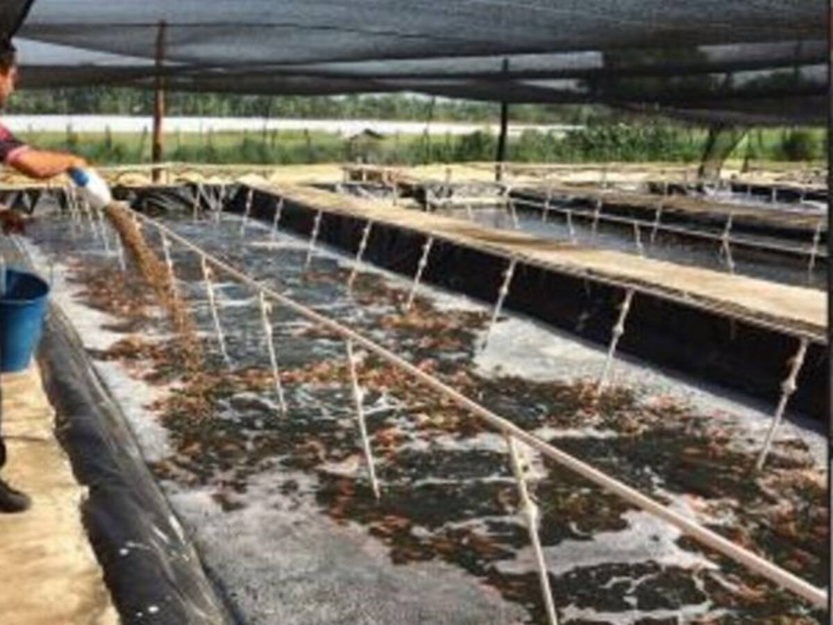 Lo mejor de la acuicultura mundial pasó por Bogotá