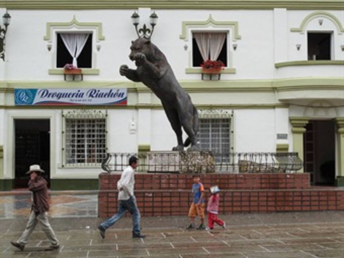 Polémica por trasteo del tigre, emblema de Amalfi, Antioquia