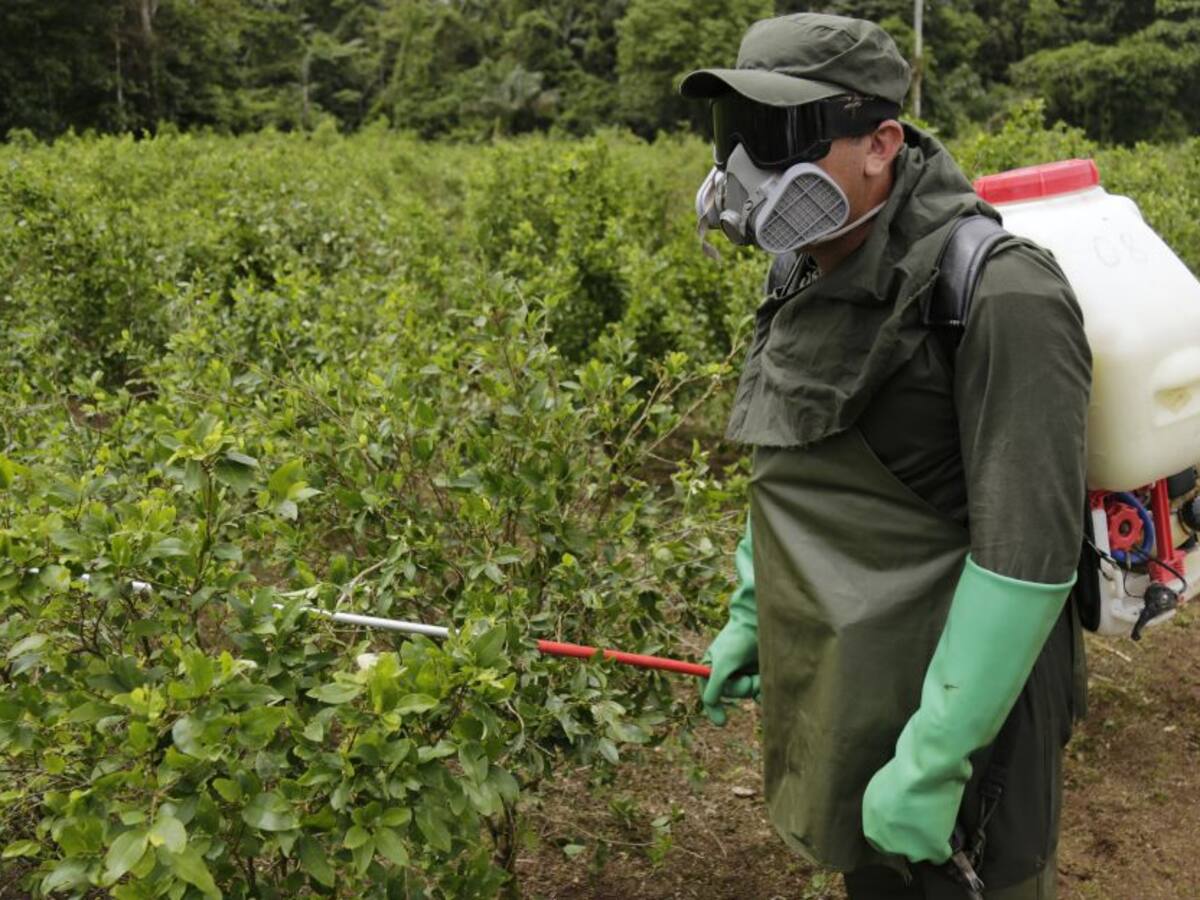 Ordenan suspender erradicación forzada en municipios del pacífico