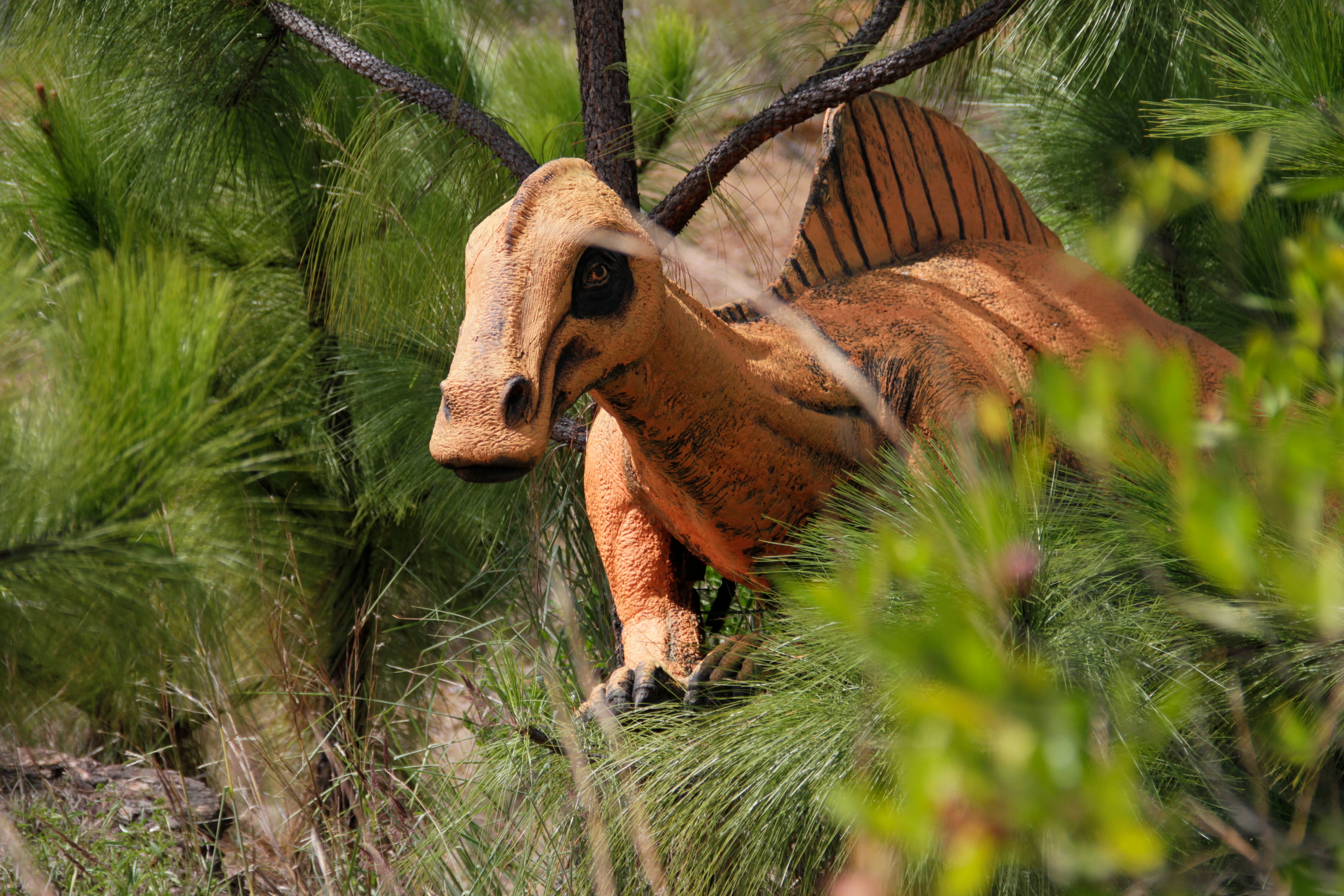 25 de noviembre de 2013Gondava (el gran valle de los dinosaurios) es un parque temático en Colombia ubicado en el municipio de Sáchica en el departamento de Boyacá cerca a la población de Villa de Leyva. Es el primero en su género en el país y en él se exhiben réplicas de tamaño real de animales extintos, en su mayor parte dinosaurios.1 Inicio su operación a finales de 2009 y cuenta con un área de 34 hectáreas.
Mario Franco - Colprensa