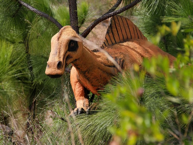 25 de noviembre de 2013
Gondava (el gran valle de los dinosaurios) es un parque temático en Colombia ubicado en el municipio de Sáchica en el departamento de Boyacá cerca a la población de Villa de Leyva. Es el primero en su género en el país y en él se exhiben réplicas de tamaño real de animales extintos, en su mayor parte dinosaurios.1 Inicio su operación a finales de 2009 y cuenta con un área de 34 hectáreas.
Mario Franco - Colprensa