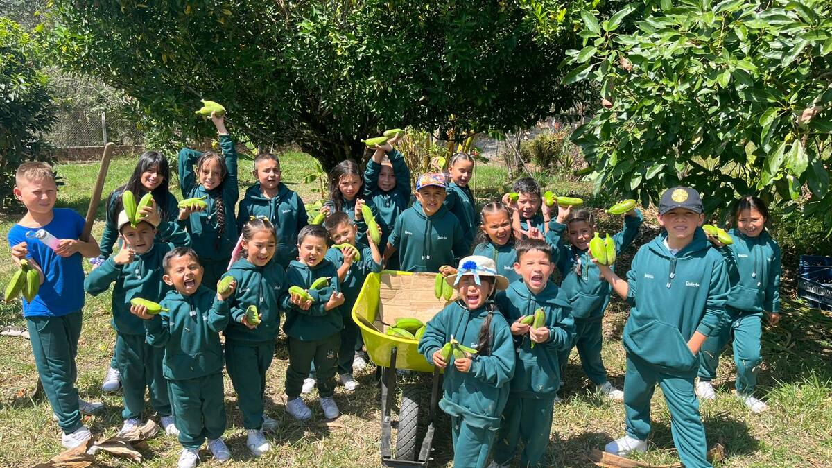 Con la “arepa de güiba”, Chinavita es finalista en mundial de huertas escolares