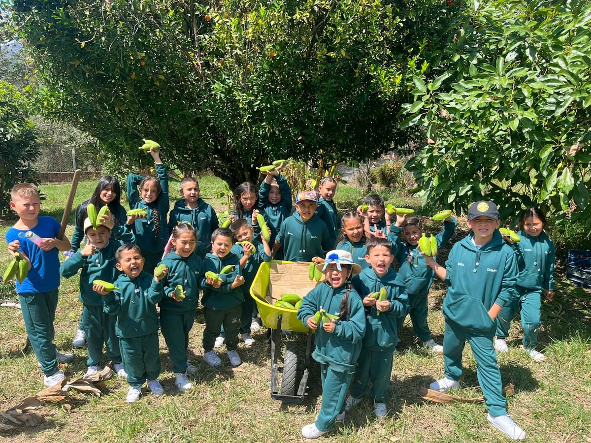 Con la “arepa de güiba”, Chinavita es finalista en mundial de huertas escolares