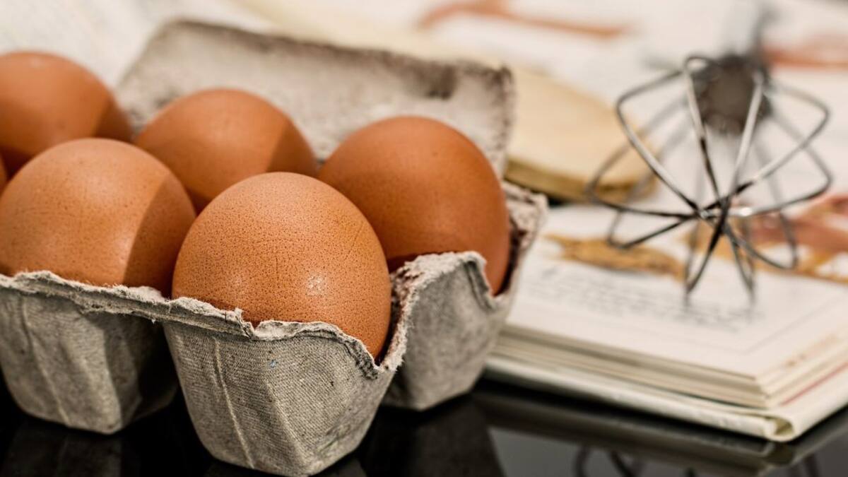 ¿Huevos de gallina o codorniz? Los más nutritivos para el consumo humano