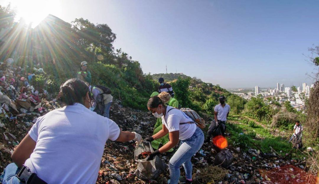 Para inicio de agosto se prevé una siembra masiva de 930 nuevos árboles, dándole continuidad a las acciones del EPA Cartagena