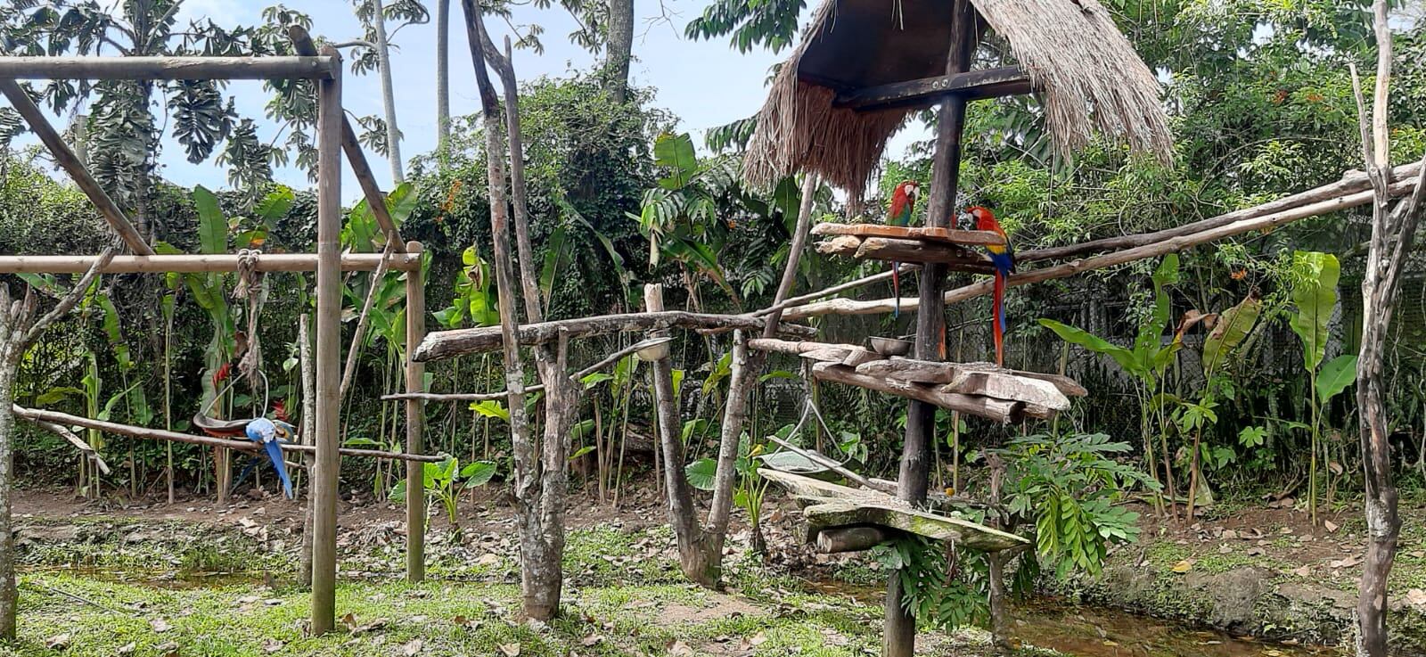 Imagen de archivo en el Bioparque Ukumarí - Caracol Radio Pereira