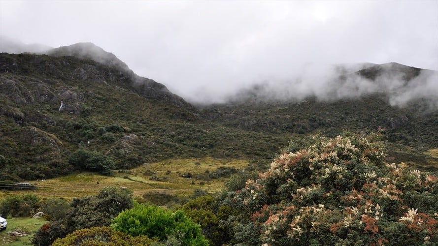 La empresa Eco Oro Minerals Corp demandó al Estado colombiano por la prohibición de la actividad minera en el Páramo de Santurbán. Foto: Colprensa