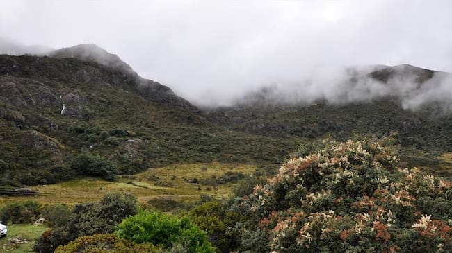 La empresa Eco Oro Minerals Corp demandó al Estado colombiano por la prohibición de la actividad minera en el Páramo de Santurbán. Foto: Colprensa