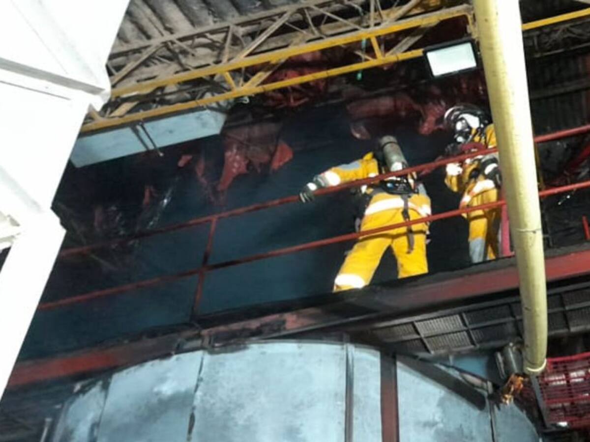 Incendio afectó estructura y producción de café en Anserma, Caldas