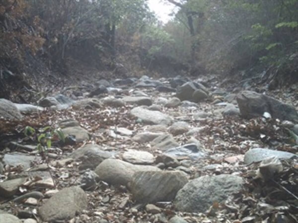 El Fenómeno del Niño ha aumentado las sequías en los cuerpos de agua de Bolívar