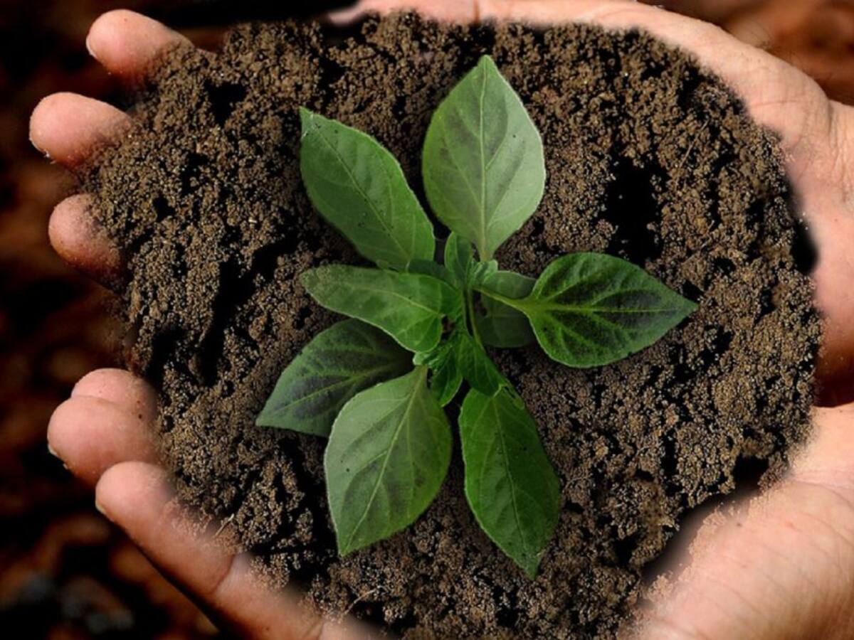 El 90 % de las grandes empresas realizan aportes de sostenibilidad