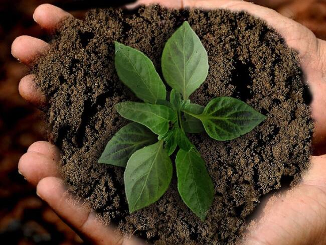 Temas del siglo XXI: la sostenibilidad