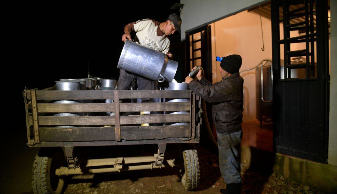 Recolección de leche cruda en fincas colombianas.