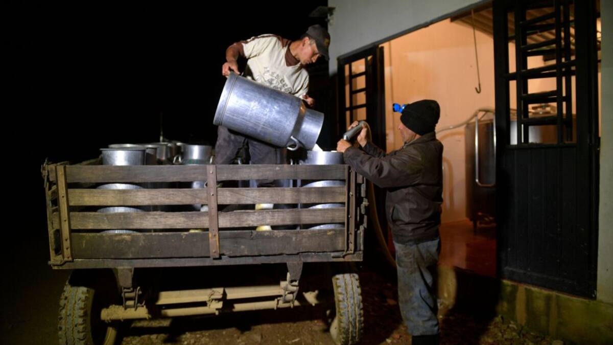 Colombia podría enfrentar sobreoferta de leche por importaciones