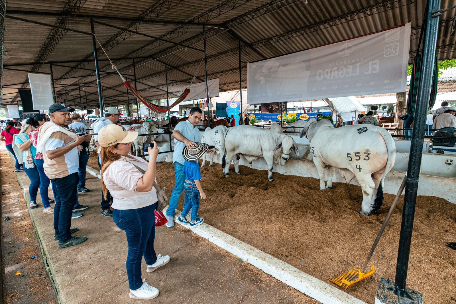 Feria Nacional de la Ganadería 2025 en Montería, la capital ganadera de Colombia.