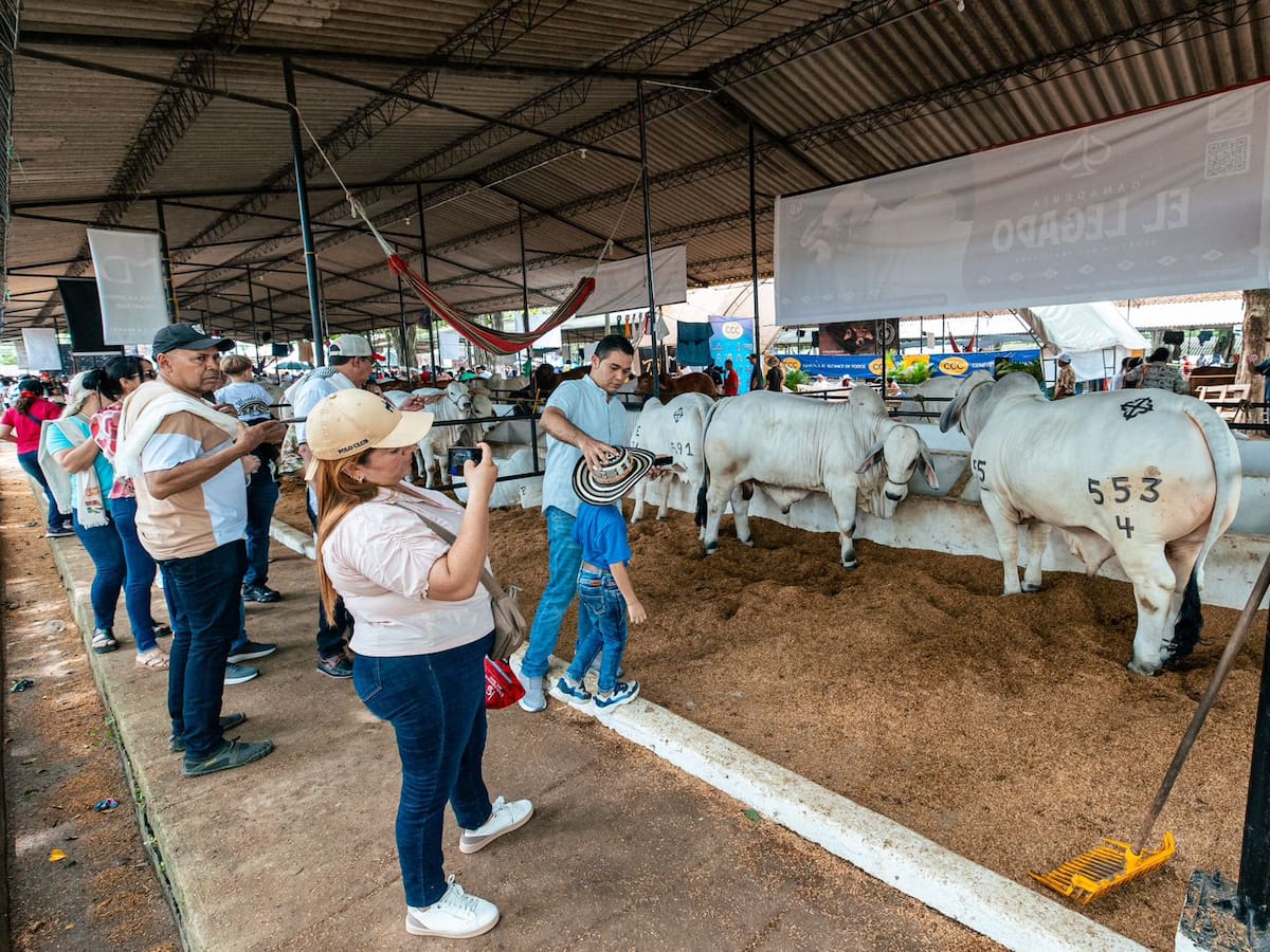 Ganaderos superan exportaciones de carne de 2024 en primeros 9 meses; China, imparable