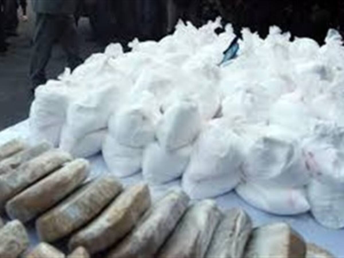 Desertores de las Farc entregaron caleta con 611 kilos de cocaína