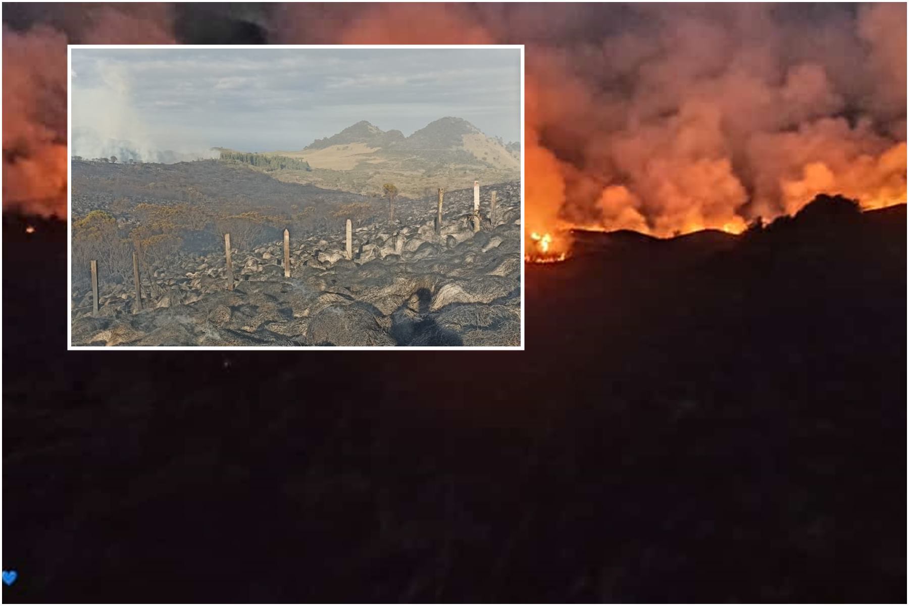 Reserva Forestal El Toro