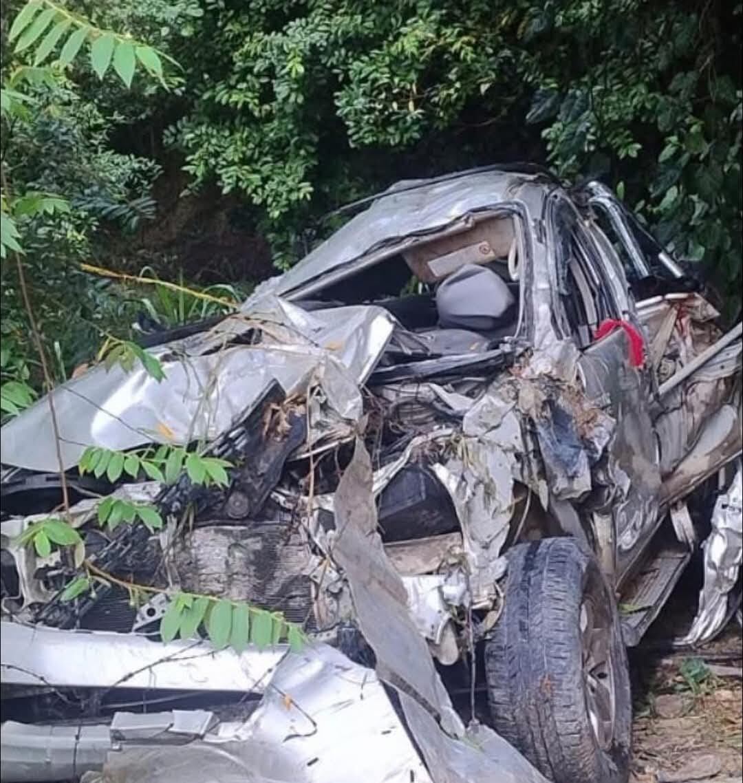 Se transportaban en compañia de otras tres personas quienes resultaron heridas cuando la camioneta se sale de la via y caé a un abismo.