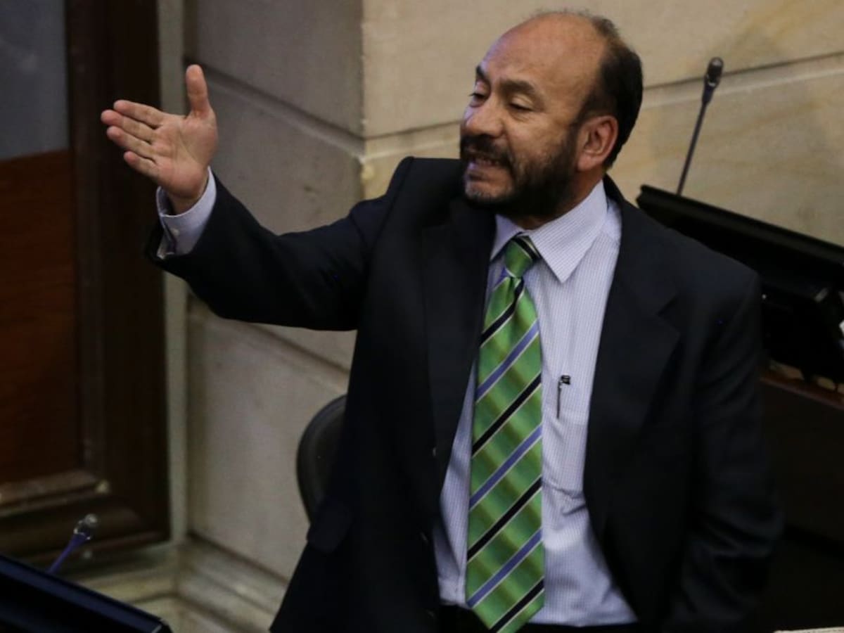 La polémica que generó la “tesis” de Alfredo Rangel sobre marcha indígena