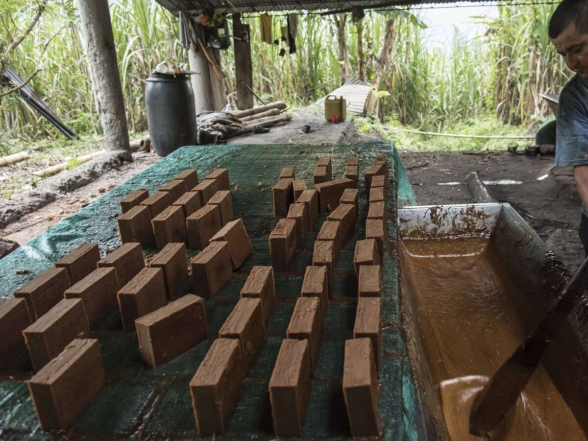 Huila reactiva la producción de panela