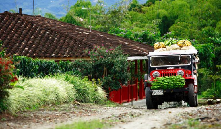 El paisaje cultural es uno de los cinco atractivos turísticos principales de Colombia.