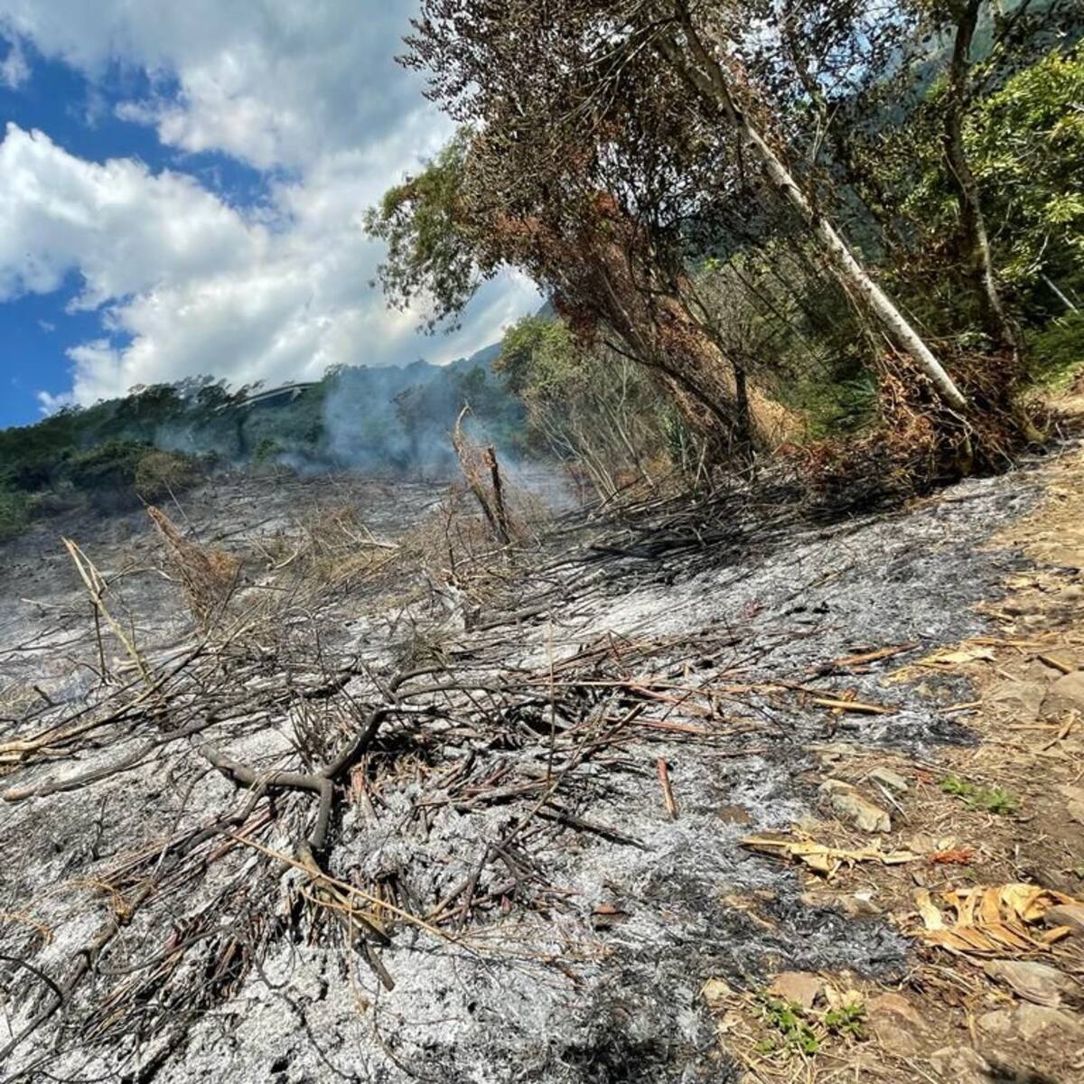 Bomberos Medellín atiende tres incendios de cobertura vegetal en la ciudad