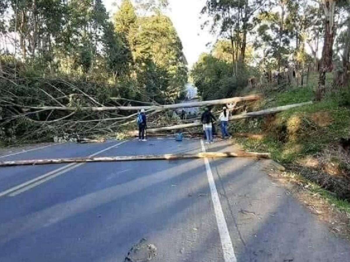 Campesinos bloquean vías por ocupación de sus predios en Cauca
