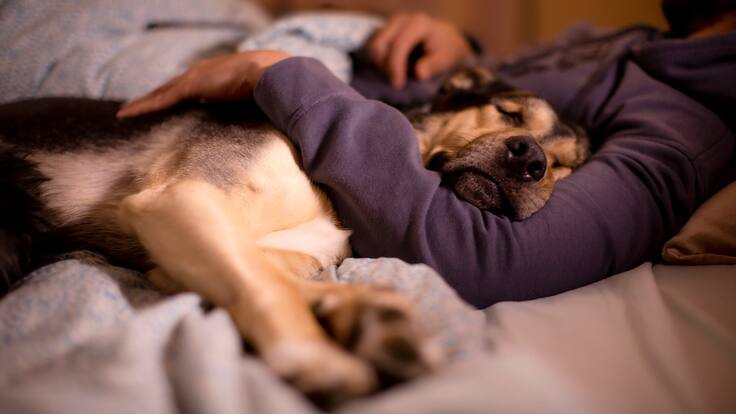 EN FAMILIA 11 DE FEBRERO 2024