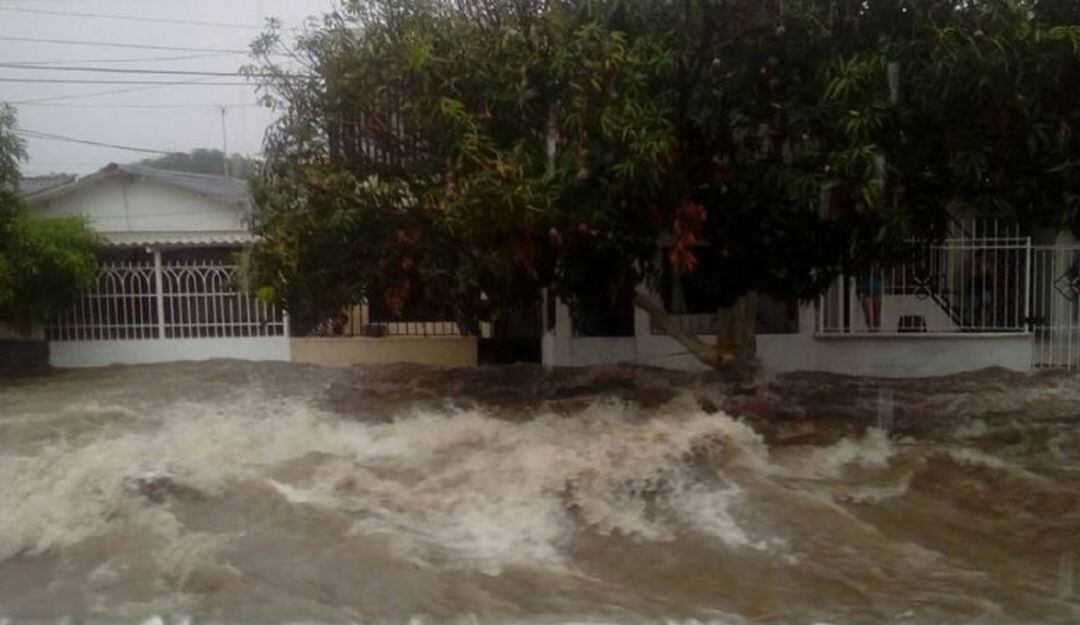 Imagen de referencia