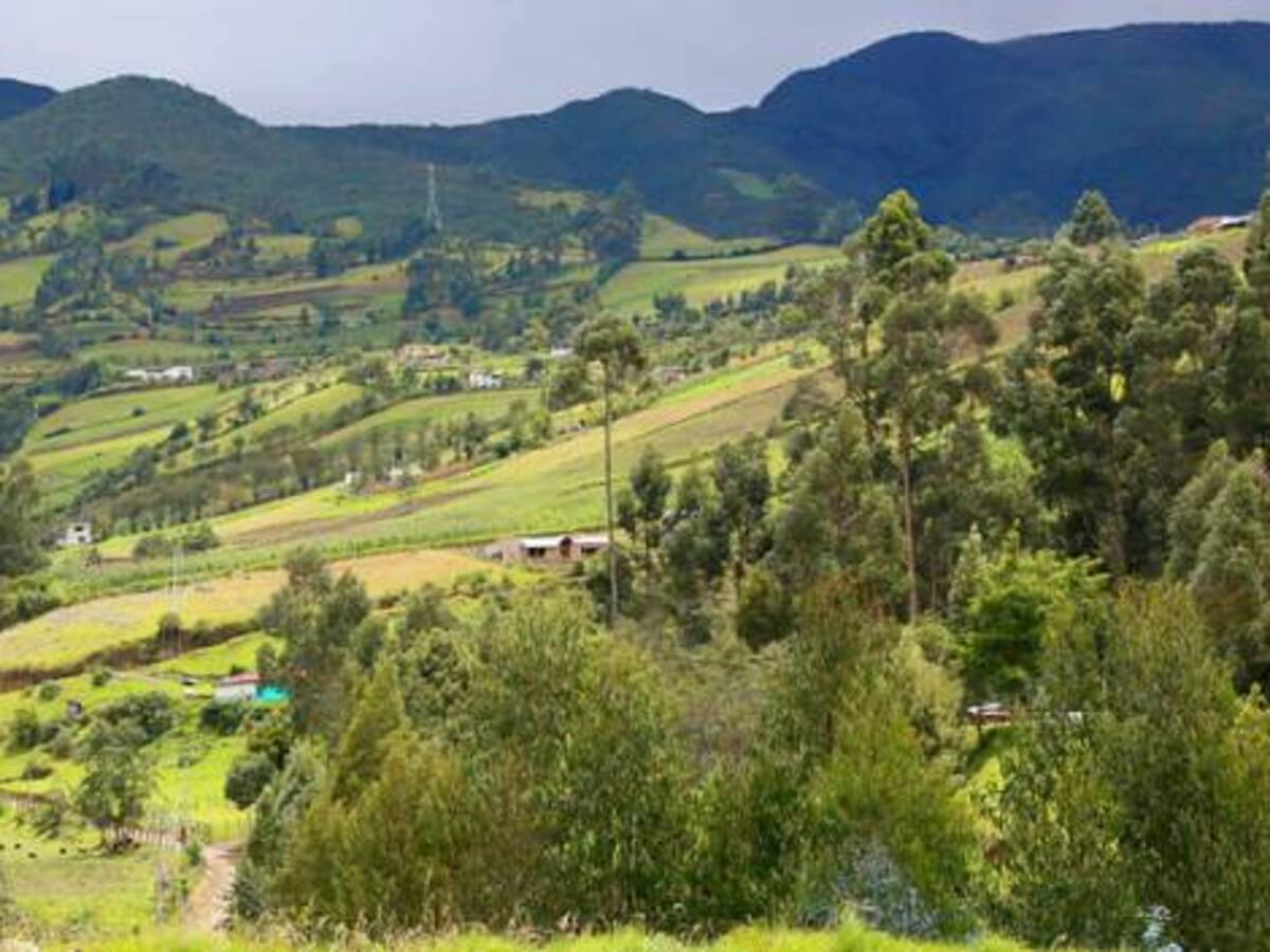 Tierras de Romaña están en la lupa de la Unidad de Restitución