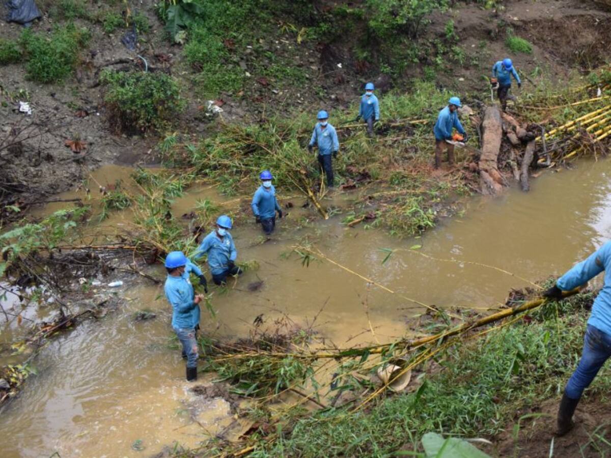 Con apoyo de bananeros, el Urabá limpia sus ríos y colectores hídricos