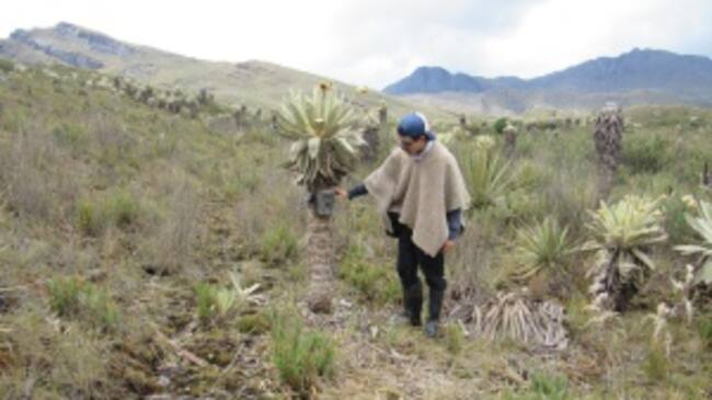 Biólogo Carlos Herney Cáceres Martínez, en trabajo de campo