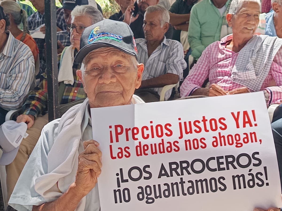 Cultivadores de arroz del Tolima inconformes por nuevos incumplimientos del Gobierno Nacional