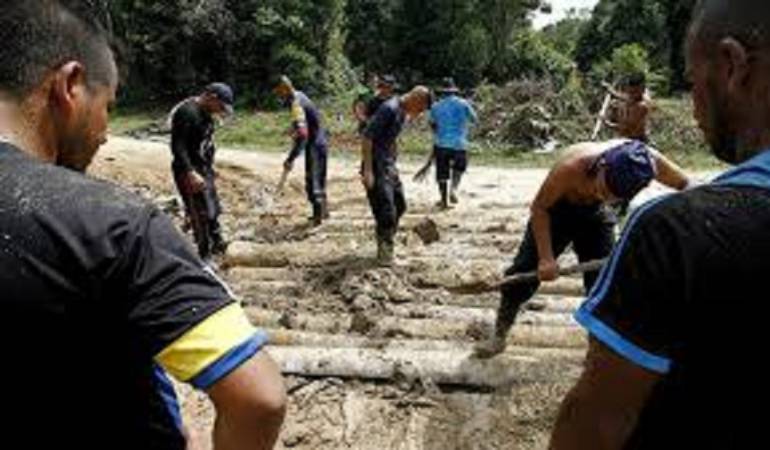Ex combatientes de las farc.