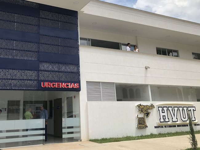 Hospital veterinario de la Universidad del Tolima abrirá sus puertas
