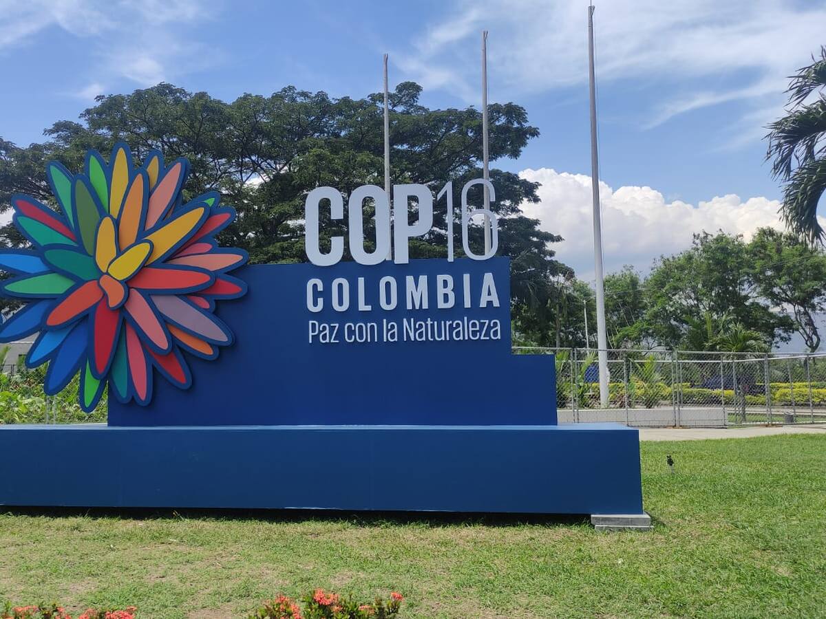 La RAP Eje Cafetero expondrá en la COP16 resultados de investigaciones hídricas