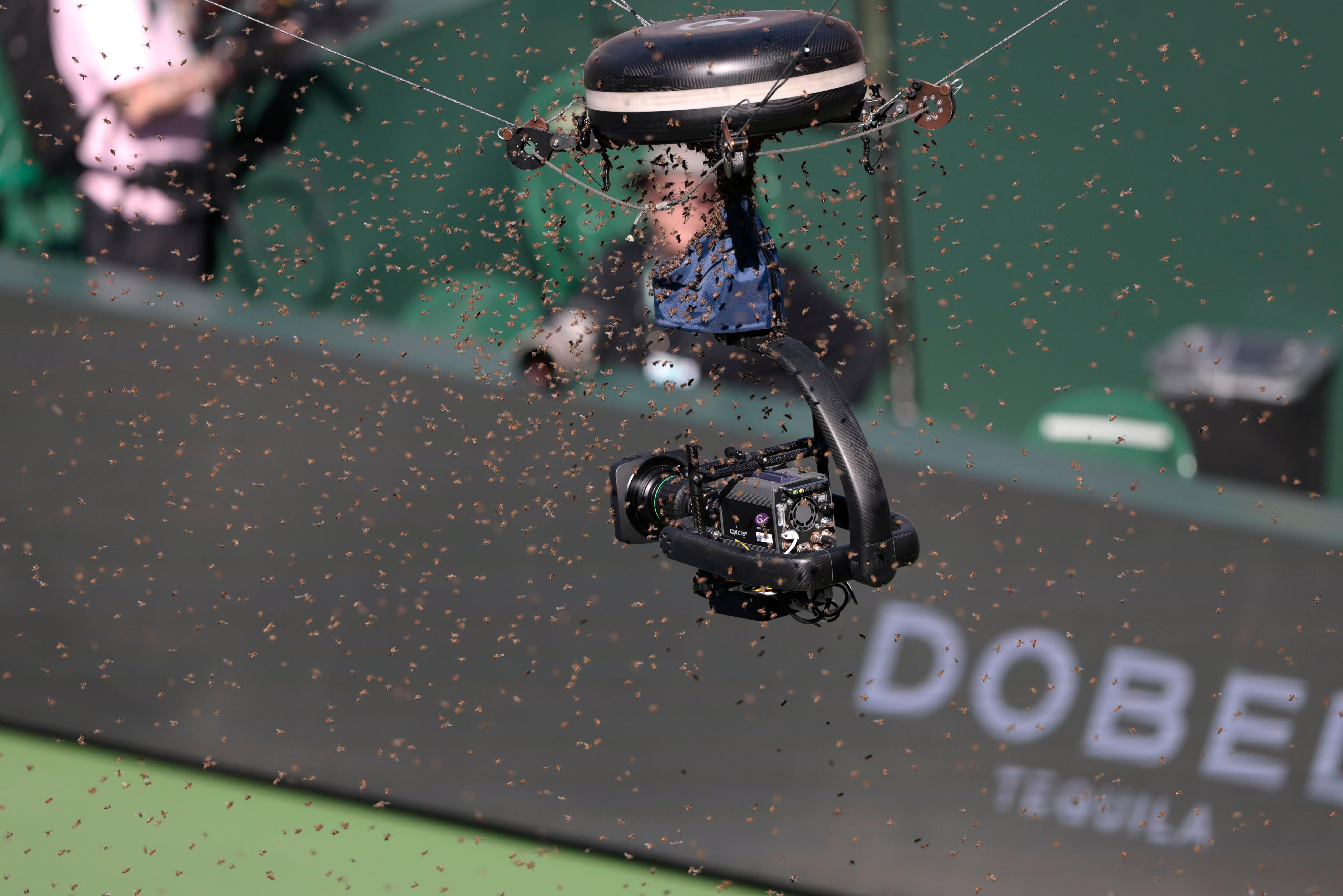 Las abejas se aglomeran sobre una de las cámaras ubicadas en la cancha 1 de Indian Wells. (Tenis, Alemania, España) EFE/EPA/JOHN G. MABANGLO