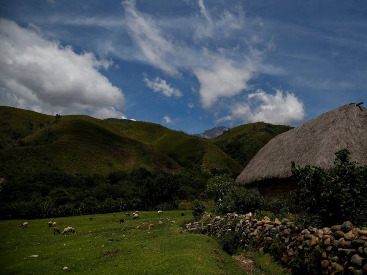 La Sierra Nevada tendrá su primera Estación Forestal Indígena