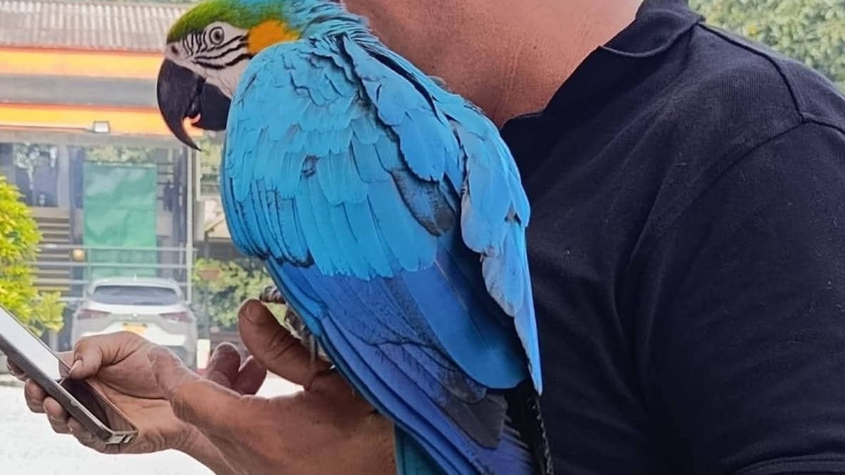 Miércoles 21 de enero, las noticias más importantes de Armenia y Quindío