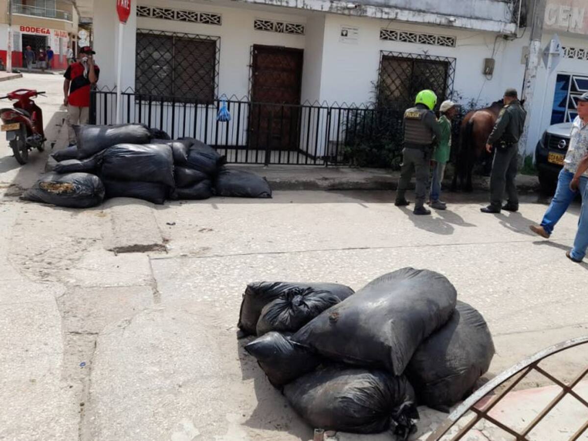 Capturaron a un hombre por propinarle golpiza a un caballo en Magangué