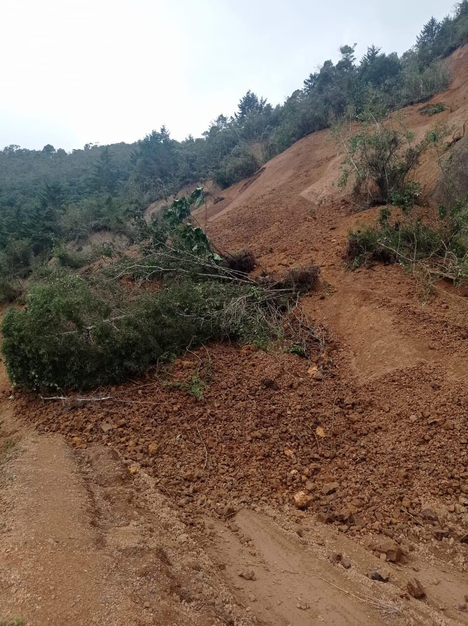 Derrumbe ocasionado por las fuertes lluvias en Betulia, Antioquia. Cortesía: Alcaldía de Betulia.