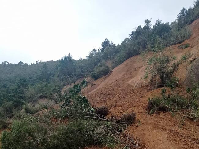 Derrumbe ocasionado por las fuertes lluvias en Betulia, Antioquia. Cortesía: Alcaldía de Betulia.