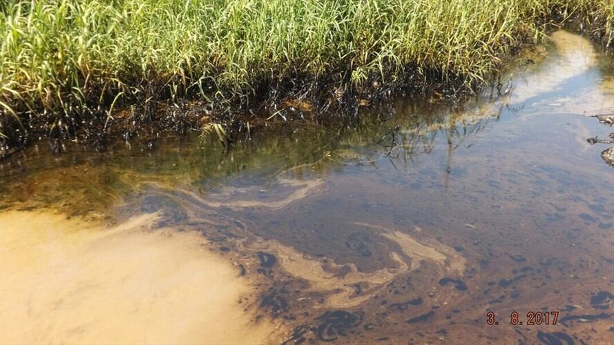 C.R.A atendió derrame de aceite en río Magdalena e inició recolección de los contaminantes. Foto: