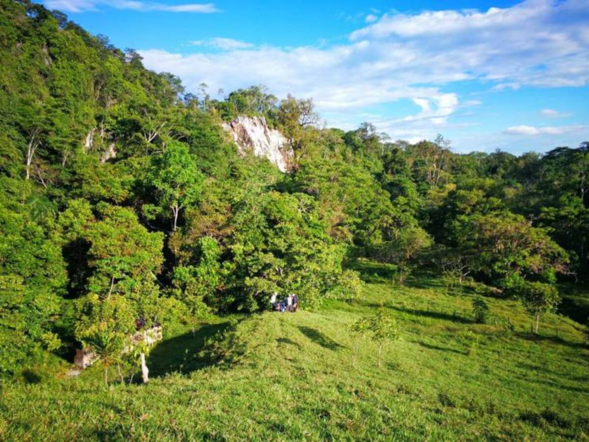 Cornare le apuesta a la prevención ambiental