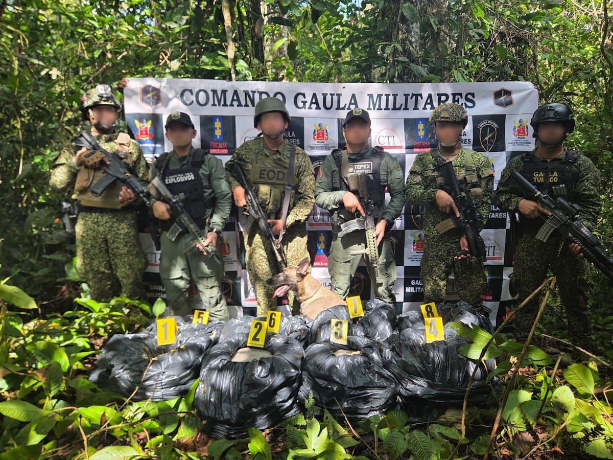 Destruyen más de 500 kilos de explosivos listos para ser usados en Tumaco