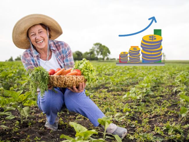 La situación de las mujeres en los sistemas agroalimentarios ( FAO 2024 )