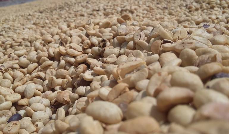 Se necesita mano de obra en el campo.